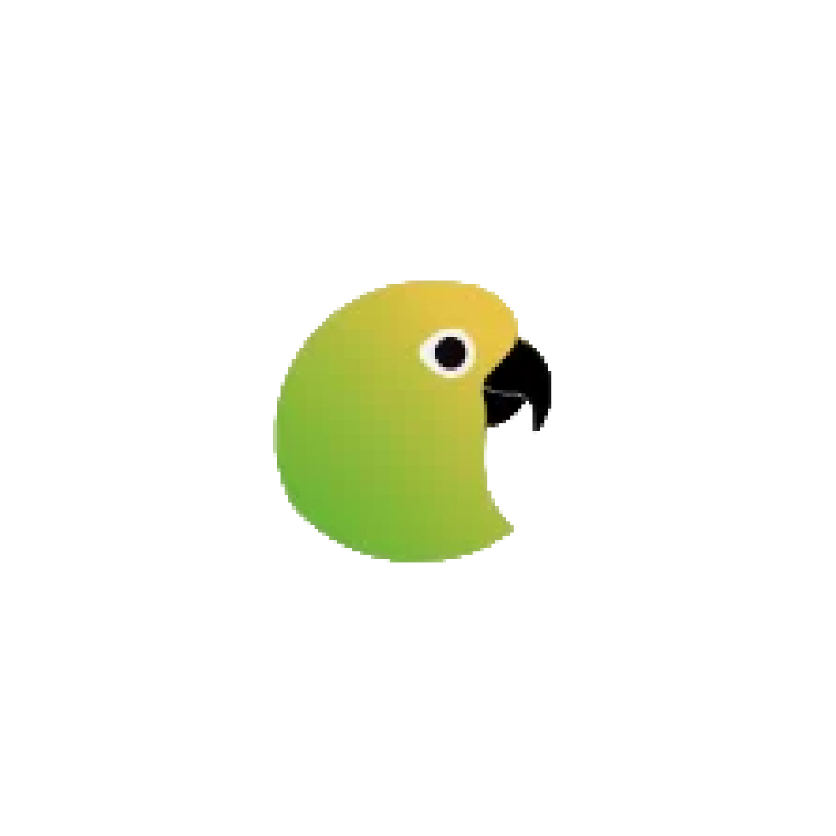 Conure Music